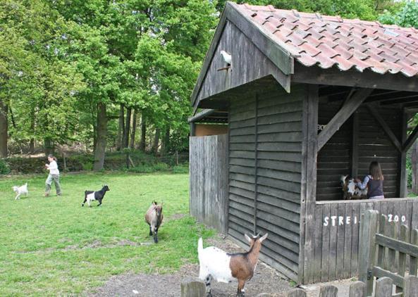 Stadtlohn Land Gut Hotel Ritter المظهر الخارجي الصورة
